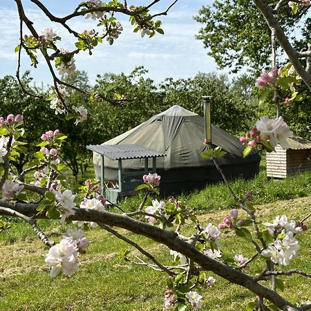 Dragon Orchard Retreat Villa Ledbury Luaran gambar