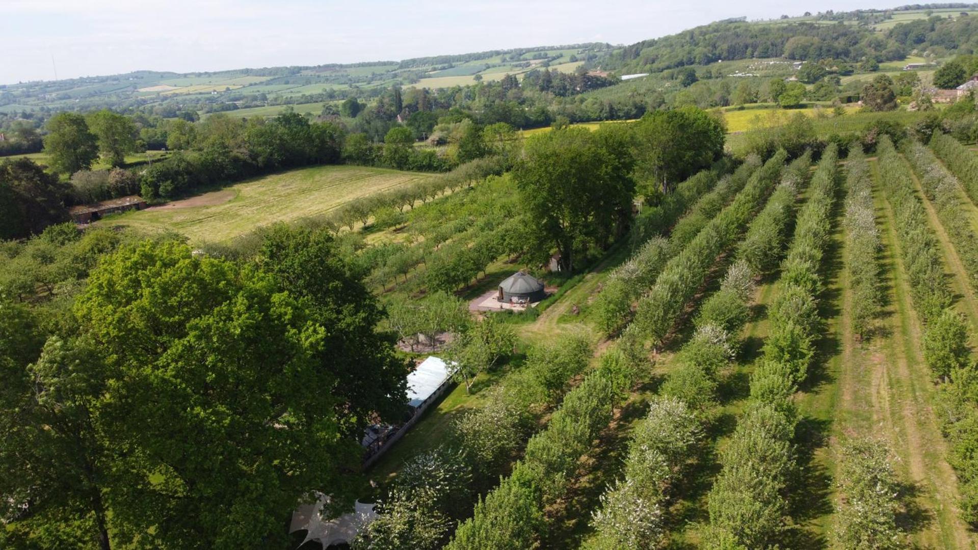 Dragon Orchard Retreat Villa Ledbury Luaran gambar
