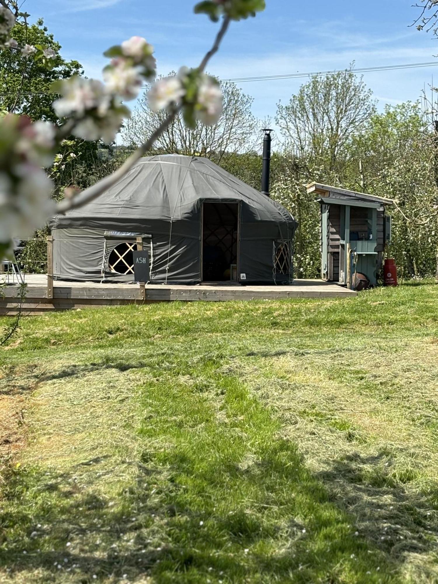 Dragon Orchard Retreat Villa Ledbury Luaran gambar