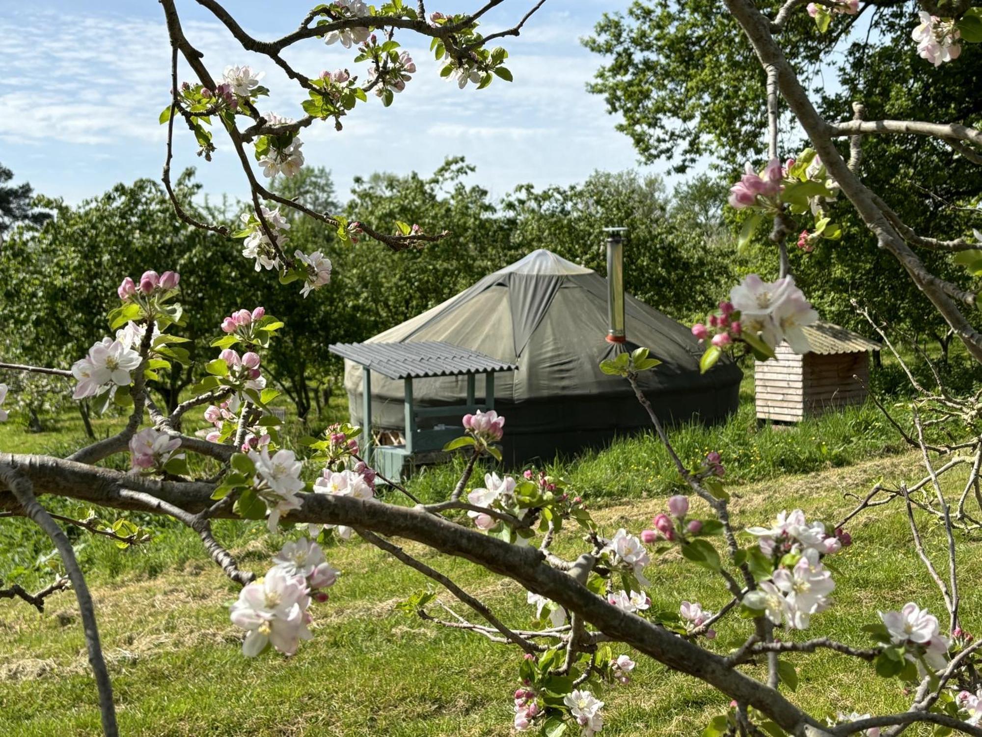 Dragon Orchard Retreat Villa Ledbury Luaran gambar